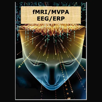 A translucent human head with waves of activity rising from the brain, labeled fMRI/MVPA and EEG/ERP.